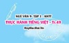 Soạn bài Thực hành Tiếng Việt trang 49 Ngữ văn lớp 9 tập 1 Kết nối tri thức